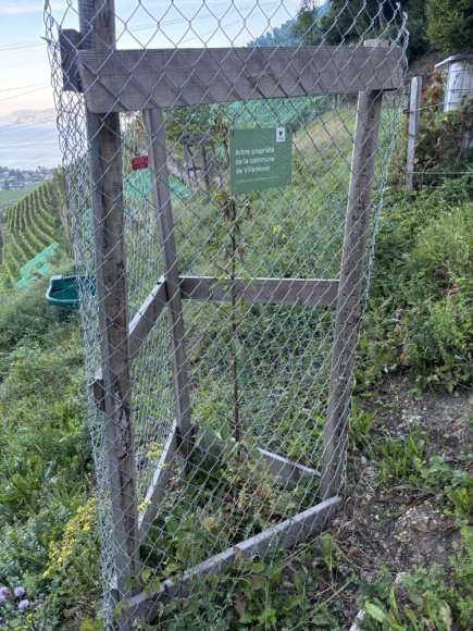 2025.08.25_101_a_etat