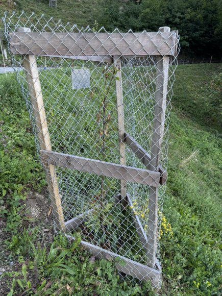 2025.08.25_101_b_etat