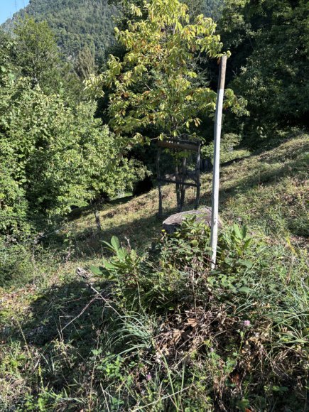 2025.08.25_1010_a_etat