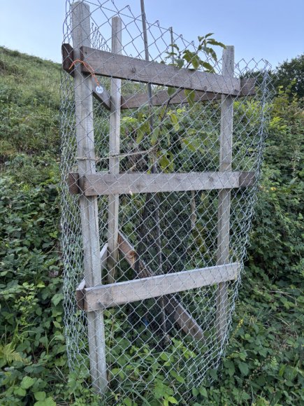 2025.08.25_190_a_etat