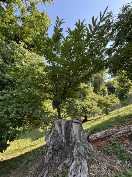 2025.08.25_84_a_etat